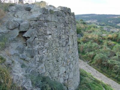 Прикрепленное изображение: DSCF6199.jpg